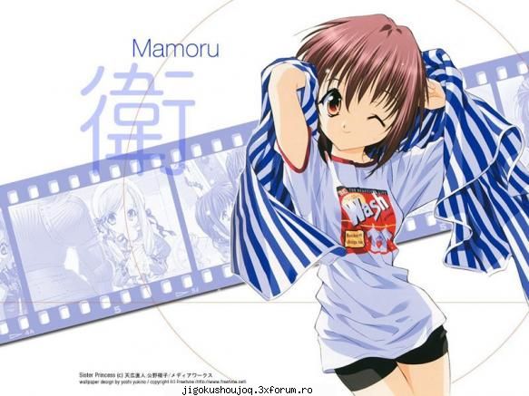 mamoru personaje